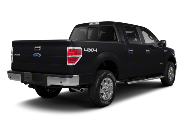 Used 2010 Ford F-150 XL with VIN 1FTFW1EV7AKA22974 for sale in Columbus, IN