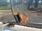 2006 Dodge Ram 2500 SLT