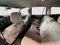 2018 Honda Pilot EX
