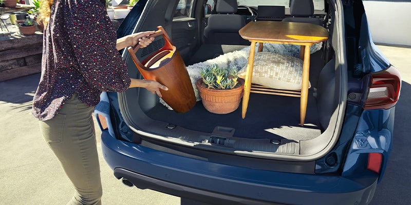 Open trunk of Ford Escape with grocery bags and plant