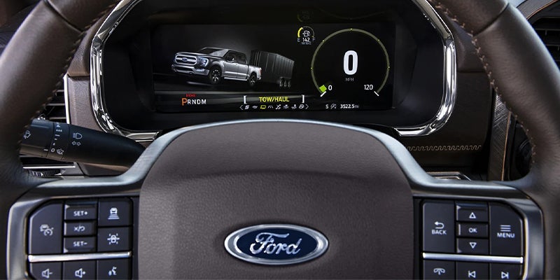 Steering wheel and digital dashboard view